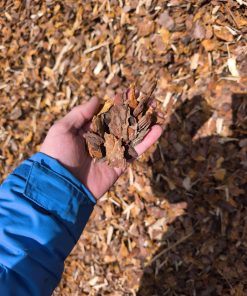 Pine bark mulch 20–40 mm decorative fraction in hand
