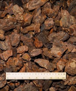 Priežu mizas mulča 30-80mm PREMIUM, tīrradņi BASTEJI ar lineālu – kvalitatīva dabīga mulča lielā frakcijā, skaidram izmēru salīdzinājumam.